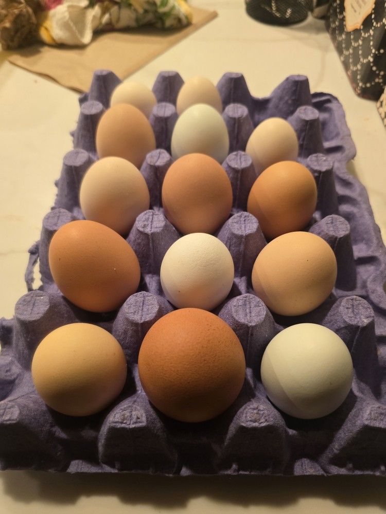 Fresh Farm Eggs For Sale