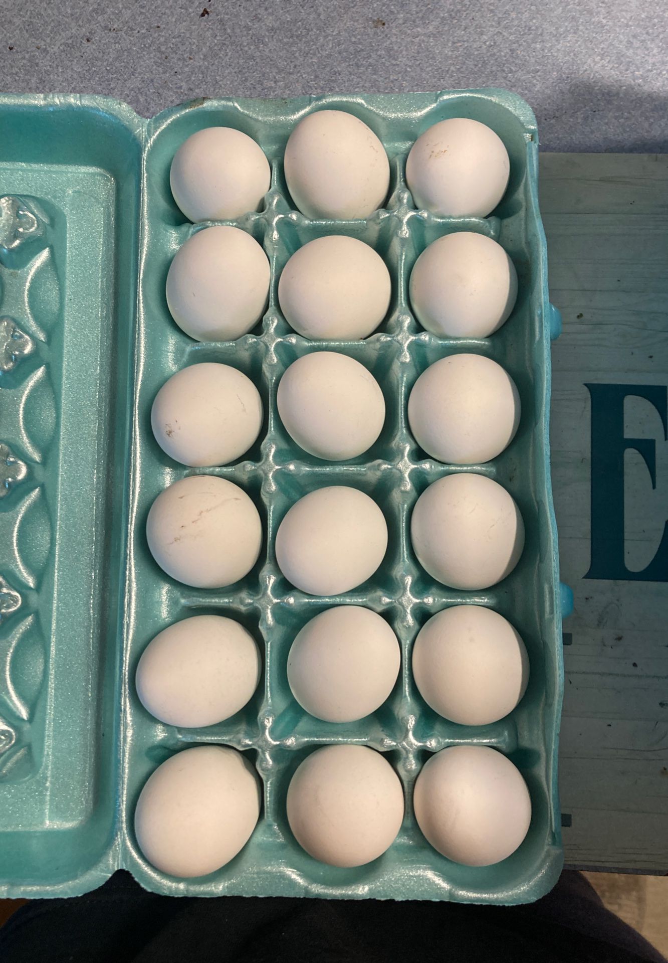 Free-Range farm eggs