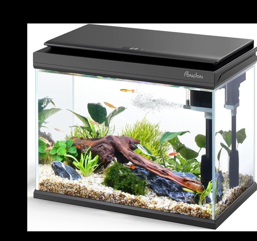 Fish Tank