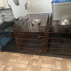 Dog Kennels. 