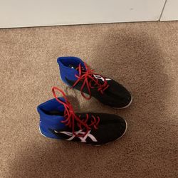 ASICS Wrestling Shoes 