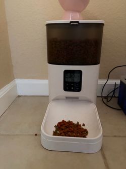 Cat automatic feeder