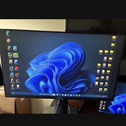 Dell 22” Monitor 
