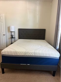 Queen bed and mattress