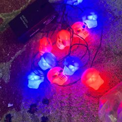Skull Lights 