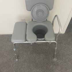 Combination Potty And Shower Chair 