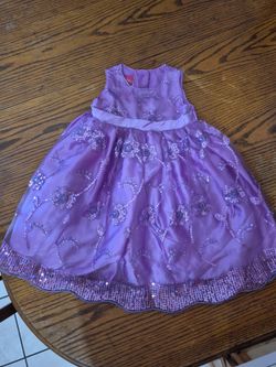Toddler Girl Disney Princess Dress