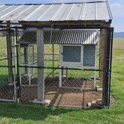 10×10 CHICKEN COOP 