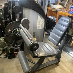 SportsArt DF-300 Leg Extension / Leg Curl