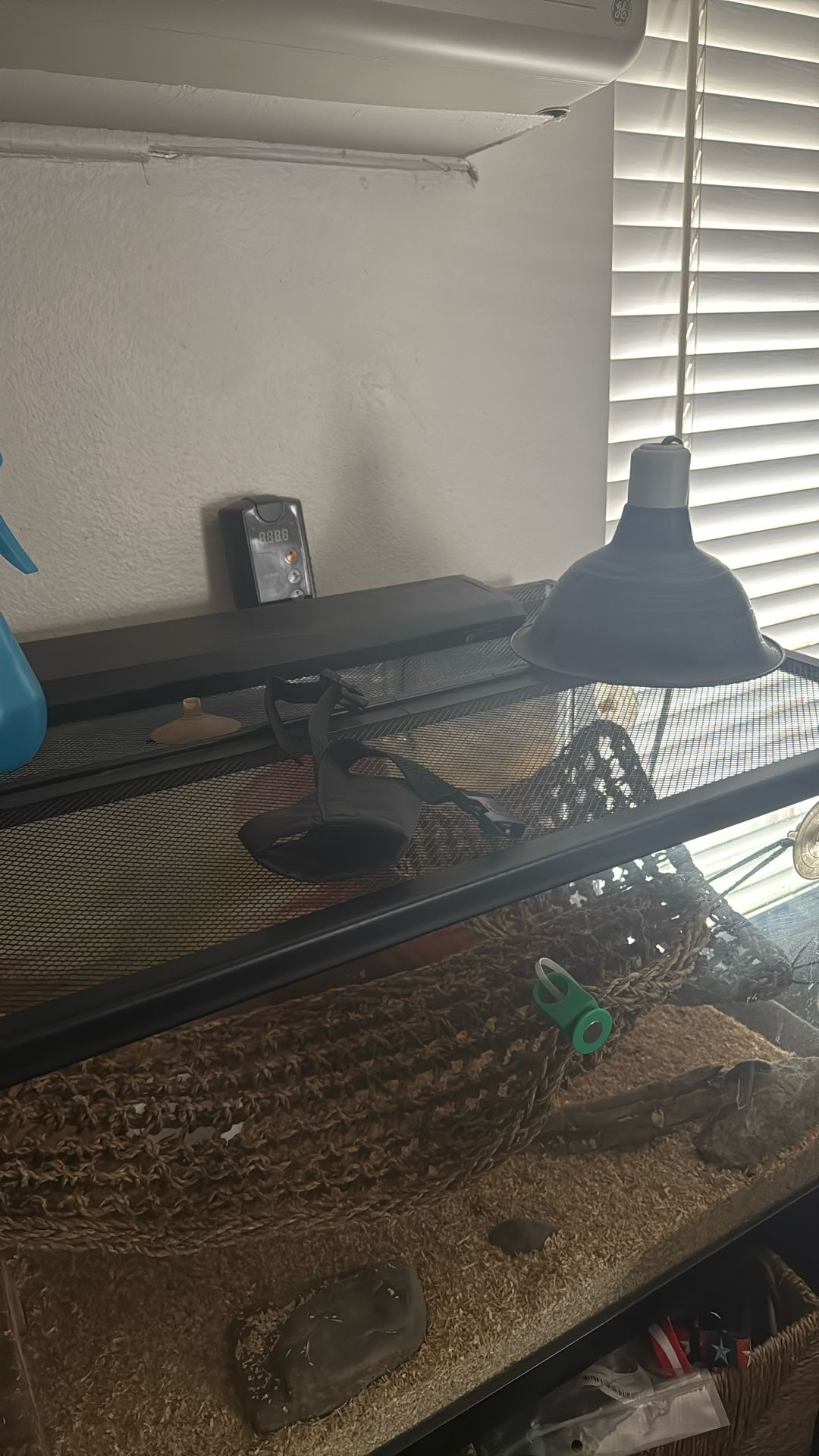 Terrarium and all Supplies