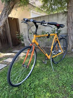 Bianchi Bergamo Hybrid Bike user reviews : 3.8 out of 5 - 3