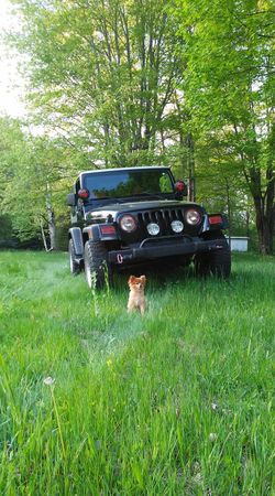 1998 Jeep Wrangler