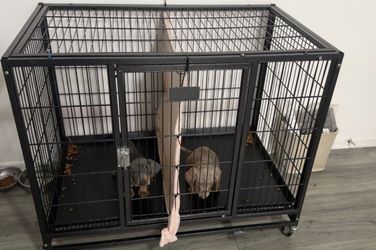 Dachshund Dogs Cage