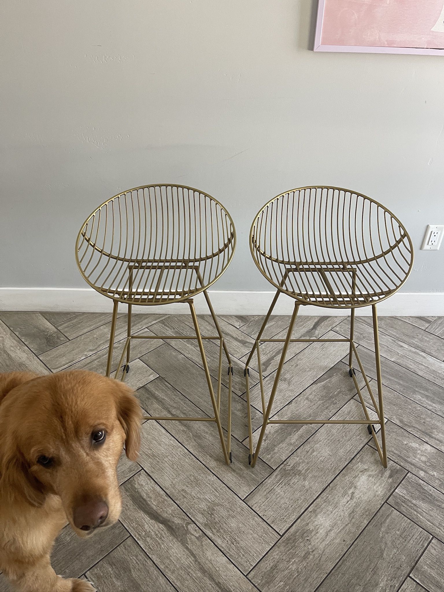 BARSTOOLS (set of 2): Ellis Wire Counter Height Barstool Gold - CosmoLiving by Cosmopolitan