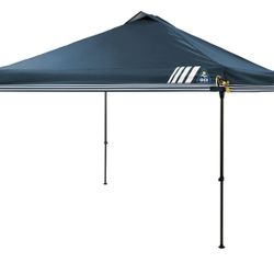 GCI LervUP 10x10 Canopy