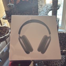 Apple AirPods Pro Max Black 