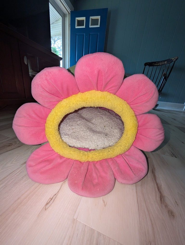 Pet Bed