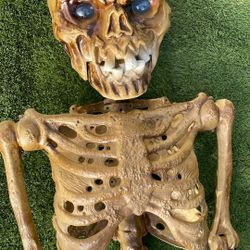 Skeleton With Animated Eyes And Posable Fingers