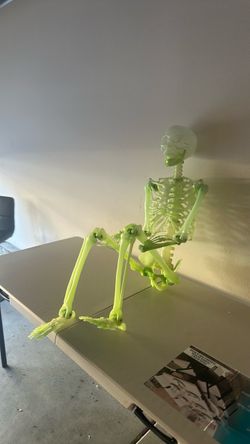 Mr. Skeleton