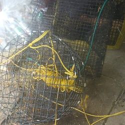 Crab Or Shrimp Pots