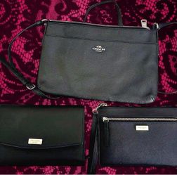 Bundle of Name Brand Bags/Wallets