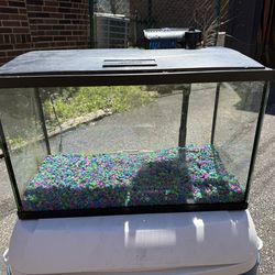 🔥 Premium 10 Gallon Aquarium Setup – Fully Loaded, Ready to Go 🐠