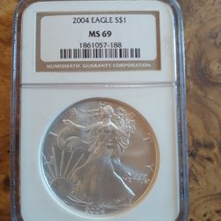 2004 SILVER EAGLE 