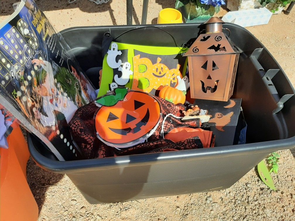 Halloween Decor And Costumes In A Tote