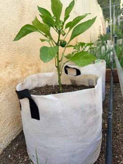 Fabric Grow Bags for Plants