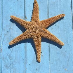 Starfish