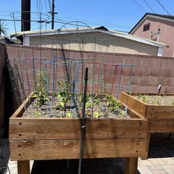 Planters