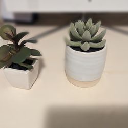 2 Small Fake Plant Decor 