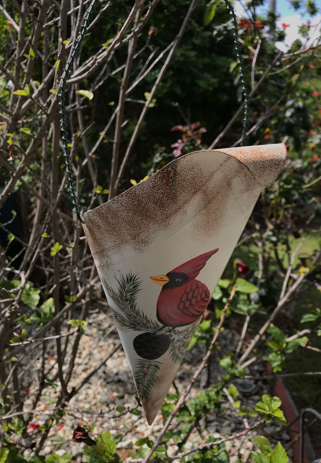 Plant holder