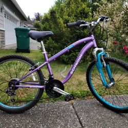 SCHWINN ATLAS BIKE 
