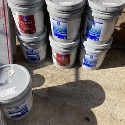 New Paint 