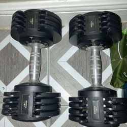 FLYBIRD Dumbells