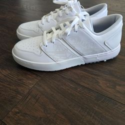 Nike Air Jordan Nu Retro 1 Low Golf White Pure Platinum FZ4153-100