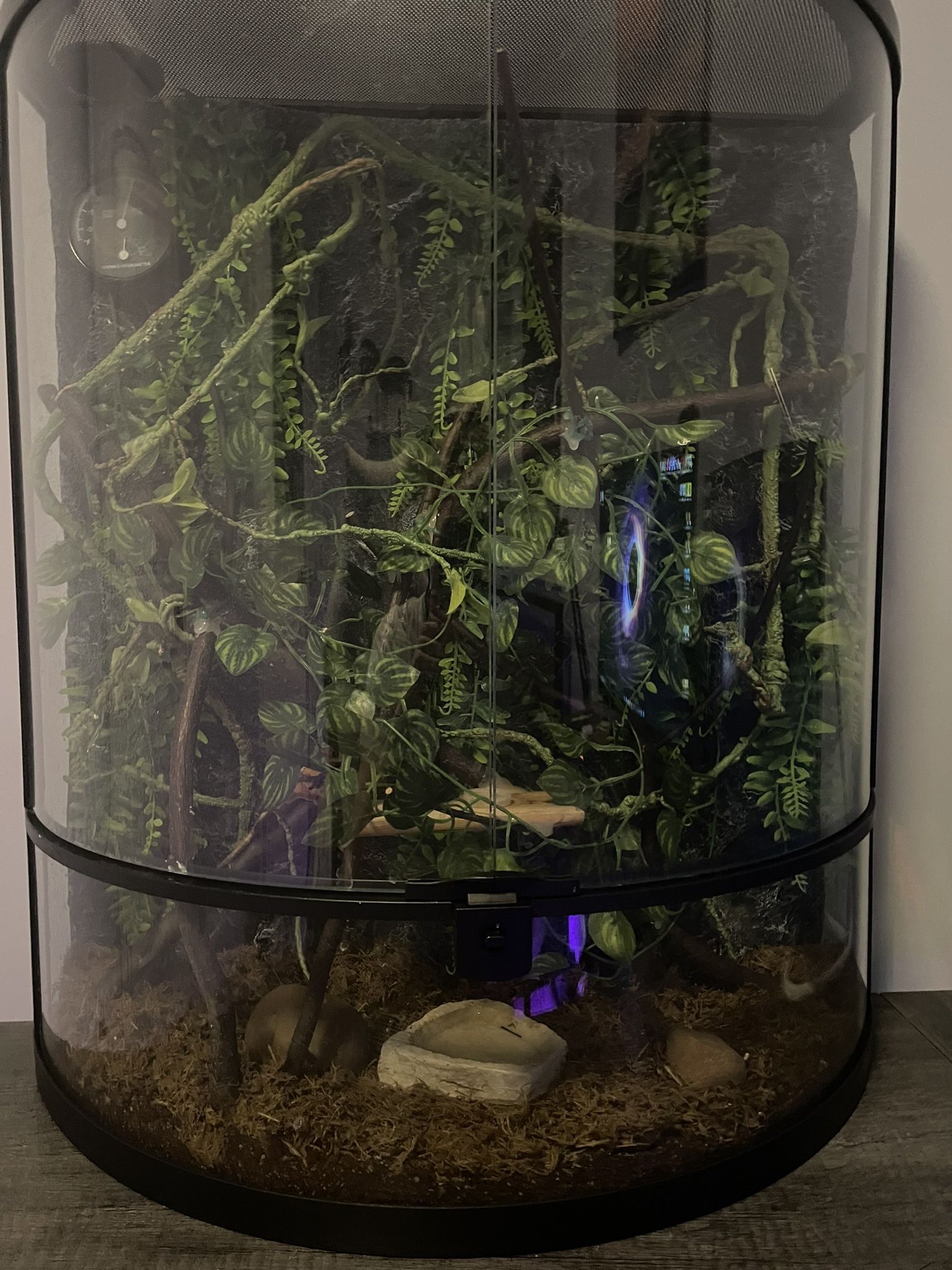 Vertical Terrarium