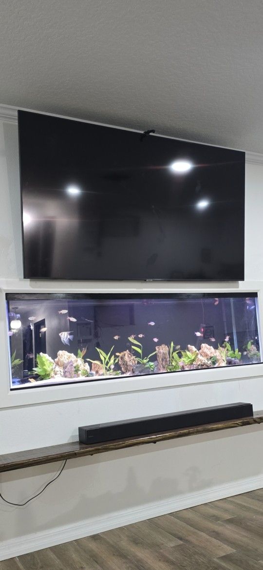 125 Gallon Aquarium 