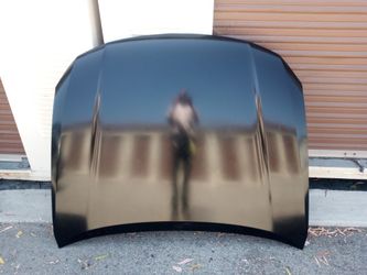 2010-2012 Honda Crosstour Hood With Accessories Oem 