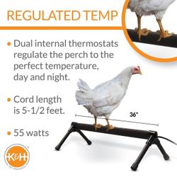 K&H Perch Warming Chicken Heater for Coops