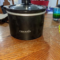 Single Serve Crock Pot/Colander 