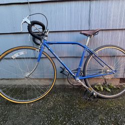 Vintage Nishiki Road Bike / Brooks Saddle