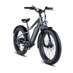 RadRover 6 plus - Electric Bike