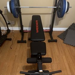 Weight Bench, Squat Rack, Bar And Plates
