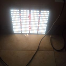 Growing Led Lights