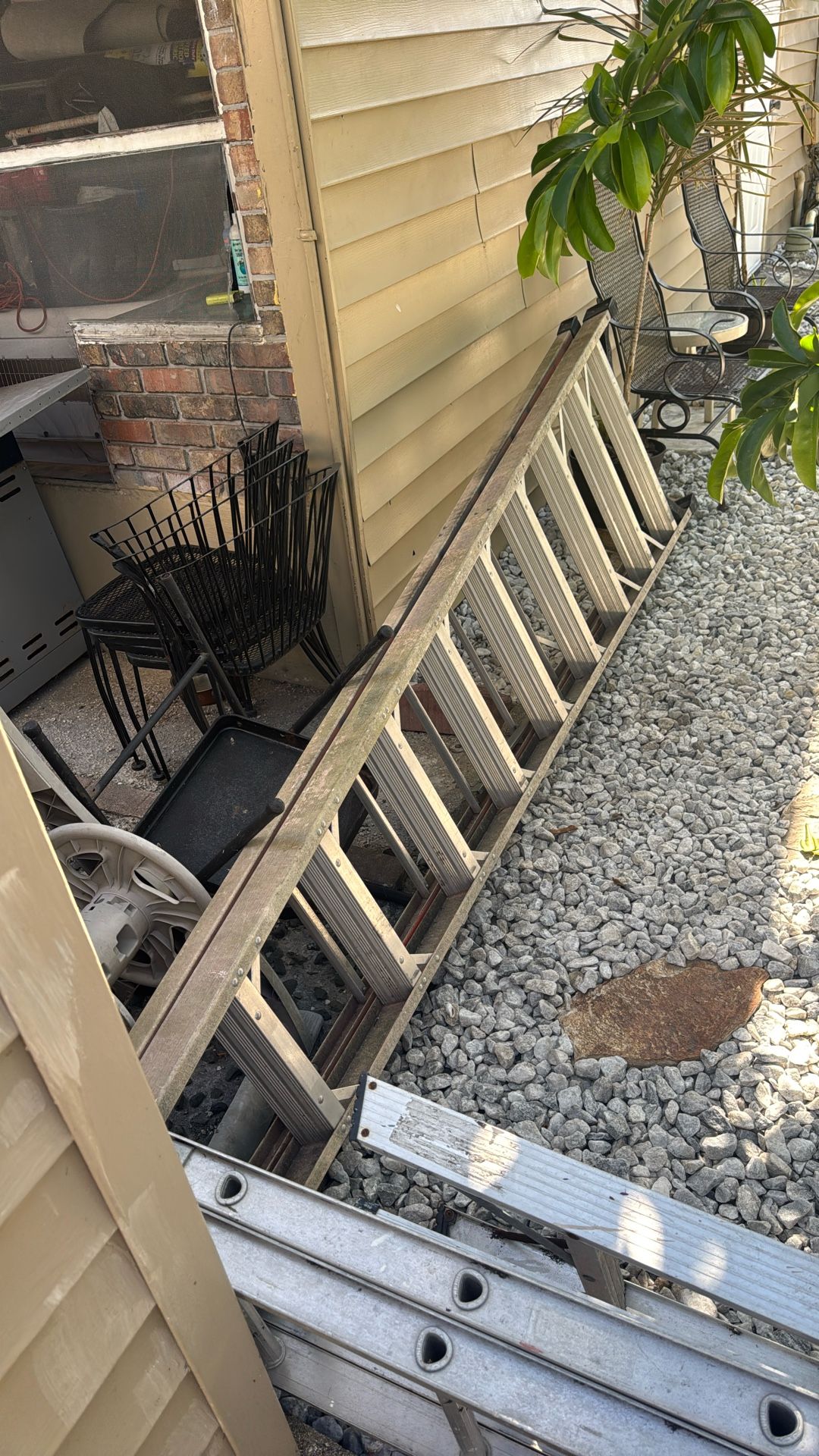 Ladder Tall 16 Inch 