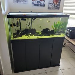 75 Gallon Fish Tank, Stand And Filter