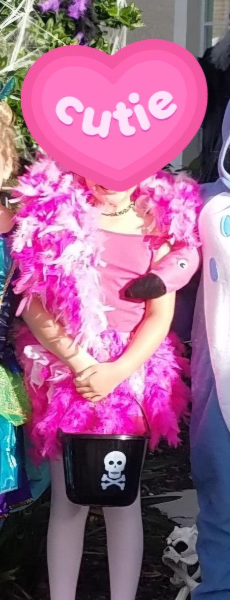 Flamingo Costume