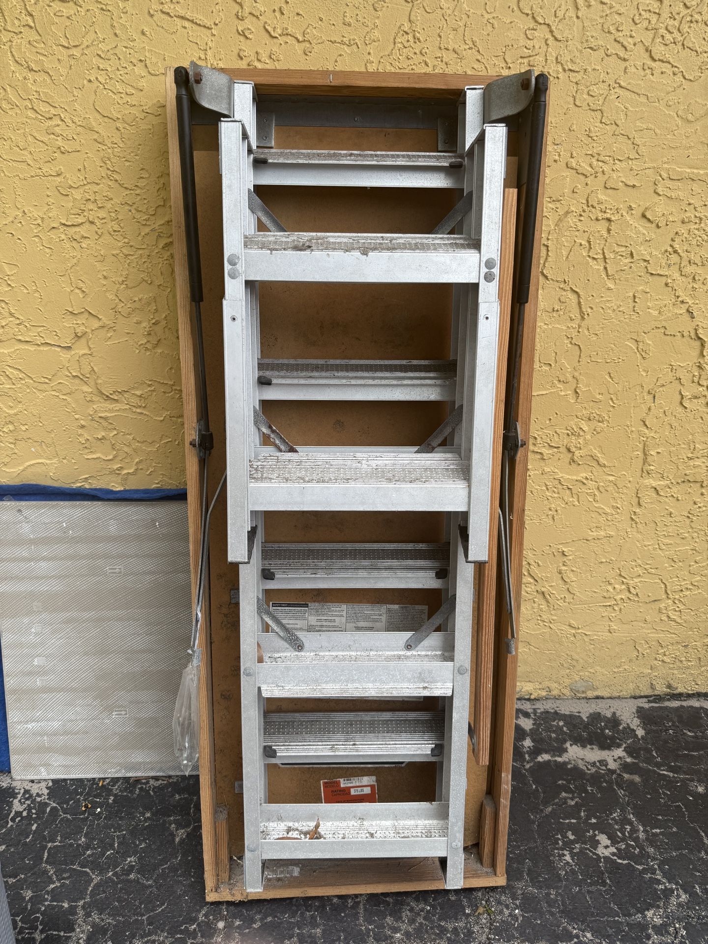Garage Ladder